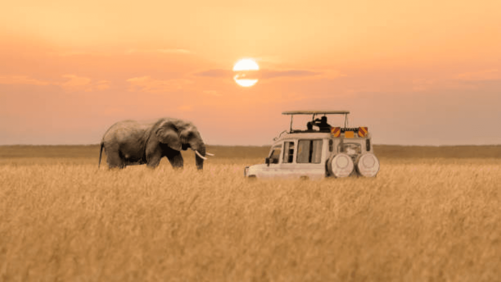 Kenya: The Great Migration — Timing Your Visit for the World’s Greatest Wildlife Spectacle