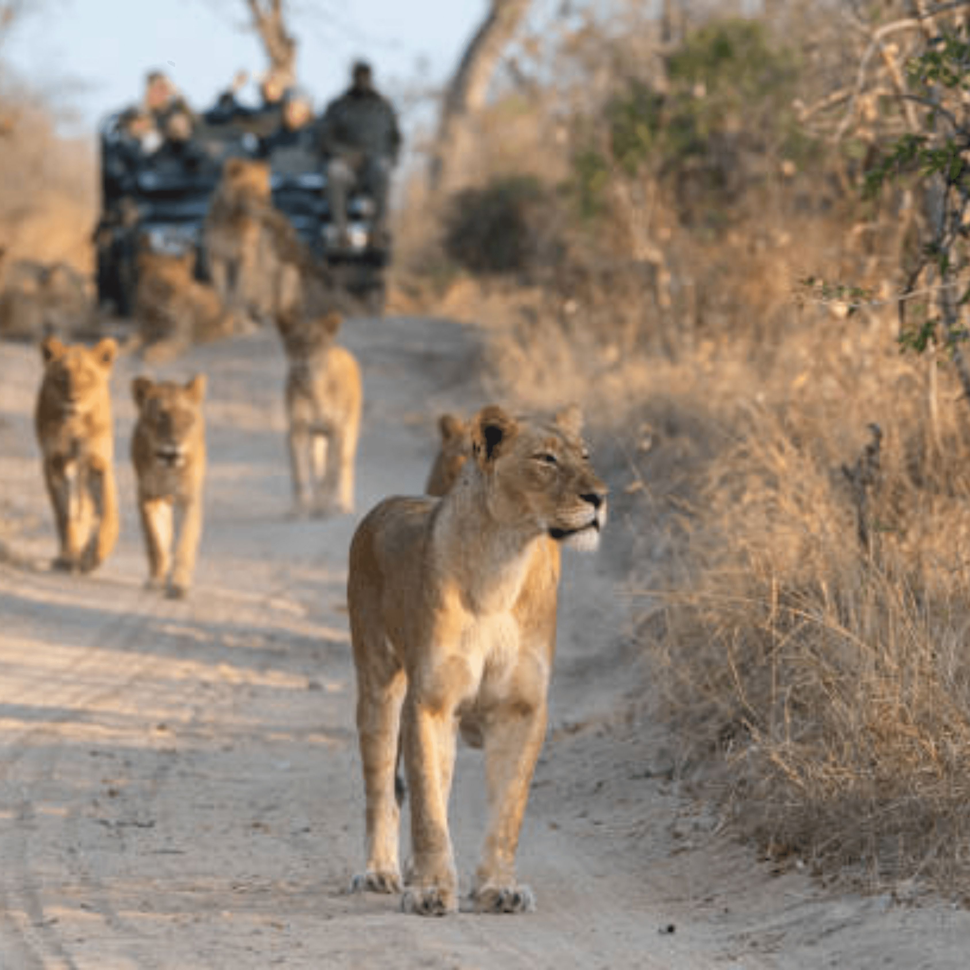 Destination image image4