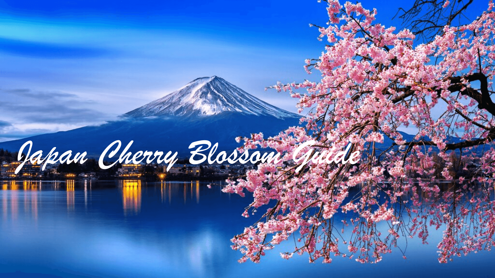 Japan Cherry Blossom Guide: Best Viewing Spots and Travel Tips