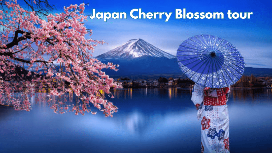 Curated Japan Cherry Blossom Journeys for 2026 by Trawelmart