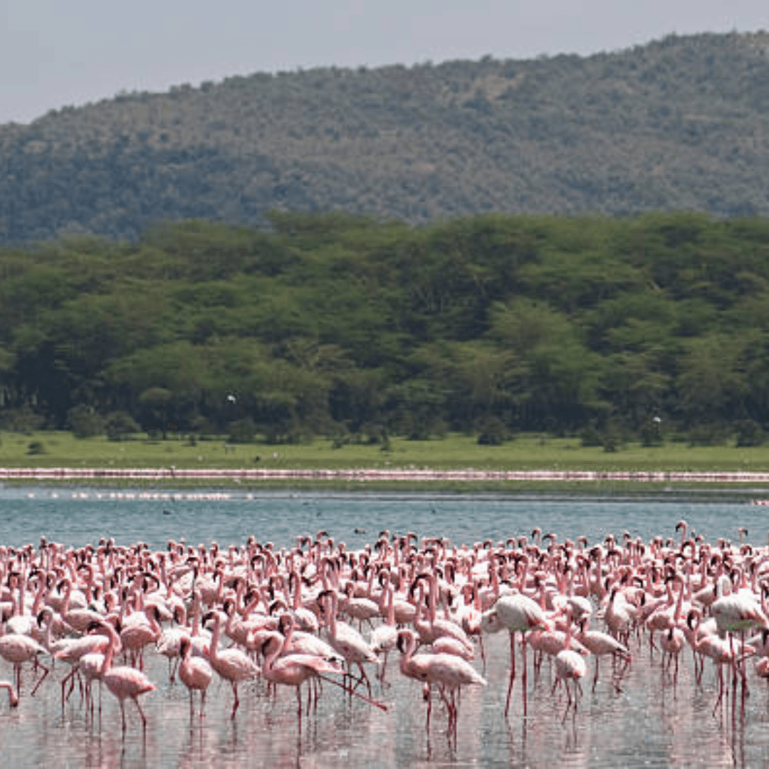 Destination image image3