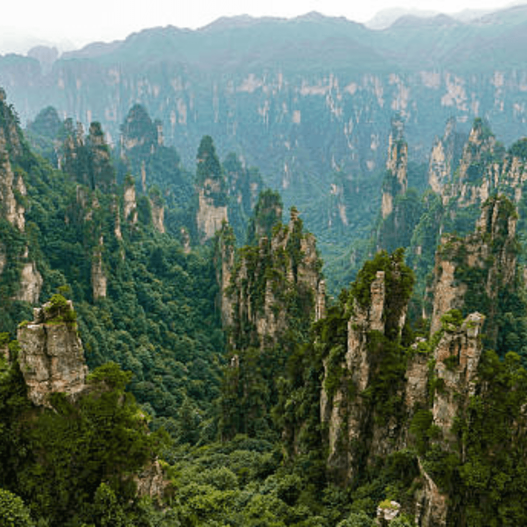 Zhangjiajie National Forest Park is a stunning natural wonder in China, famous for its towering sandstone pillars, lush forests, and misty landscapes that inspired the floating mountains in Avatar.