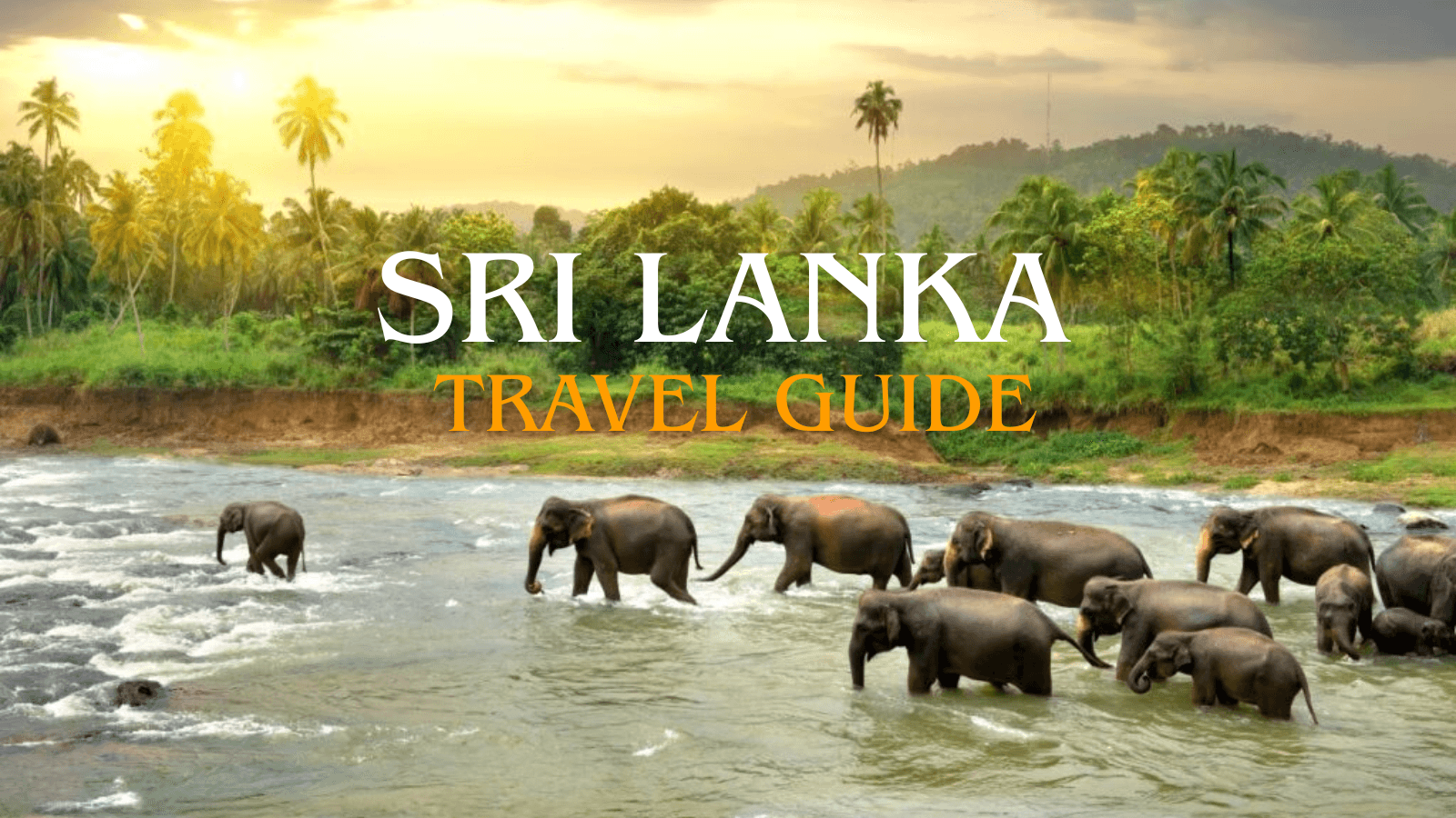 Sri Lanka Travel Guide: Ancient Temples, Tea Plantations, and Golden Beaches