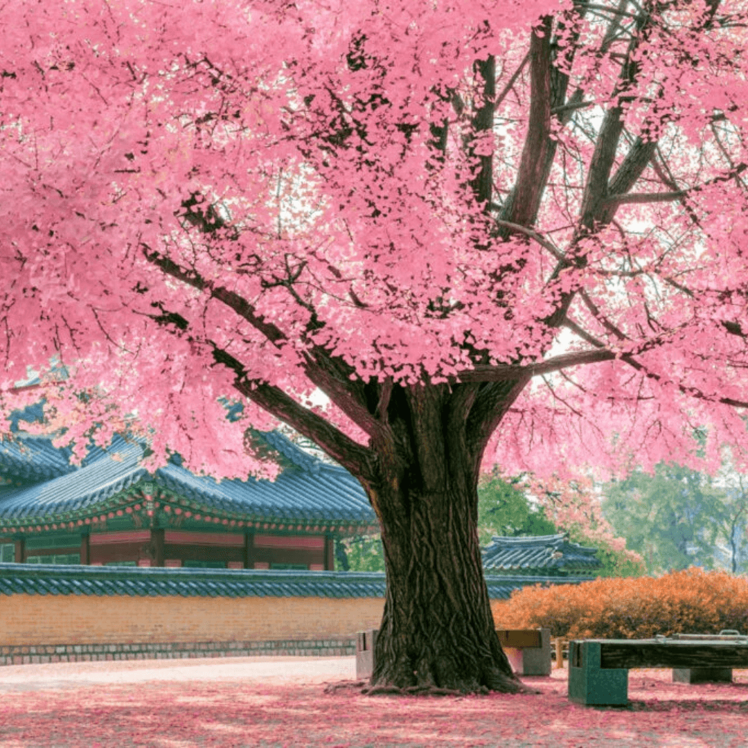 Destination image image4