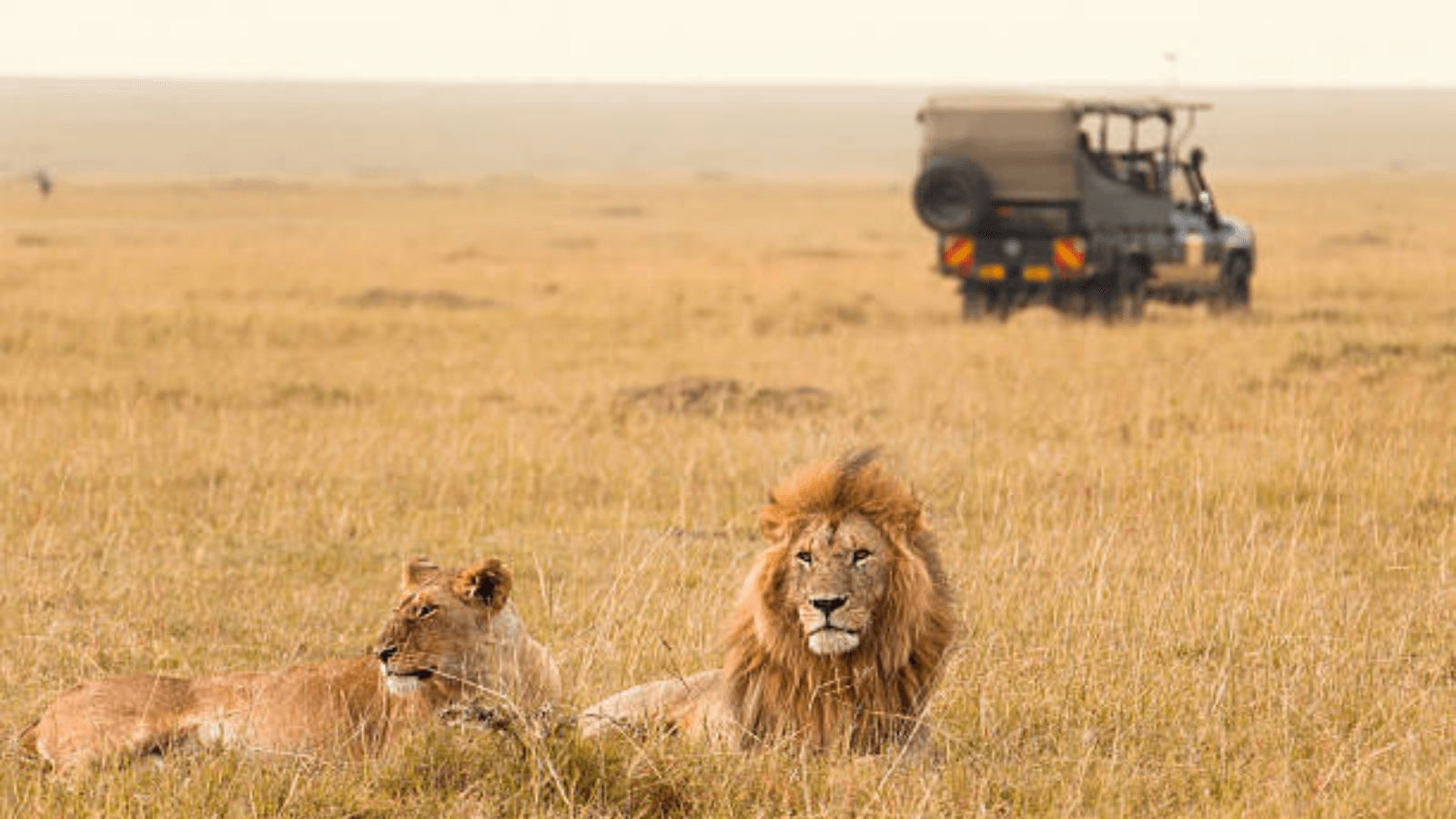 Kenya Nature & Wildlife Escape – 6 Days
