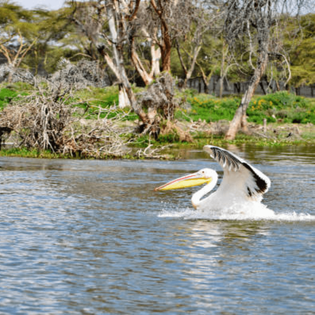 Destination image image4