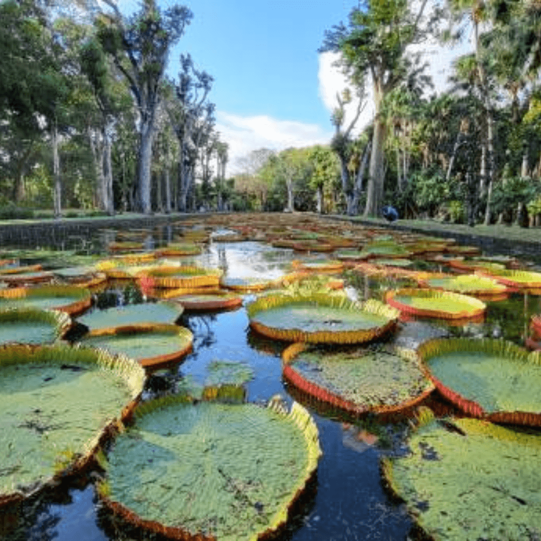 Destination image image2