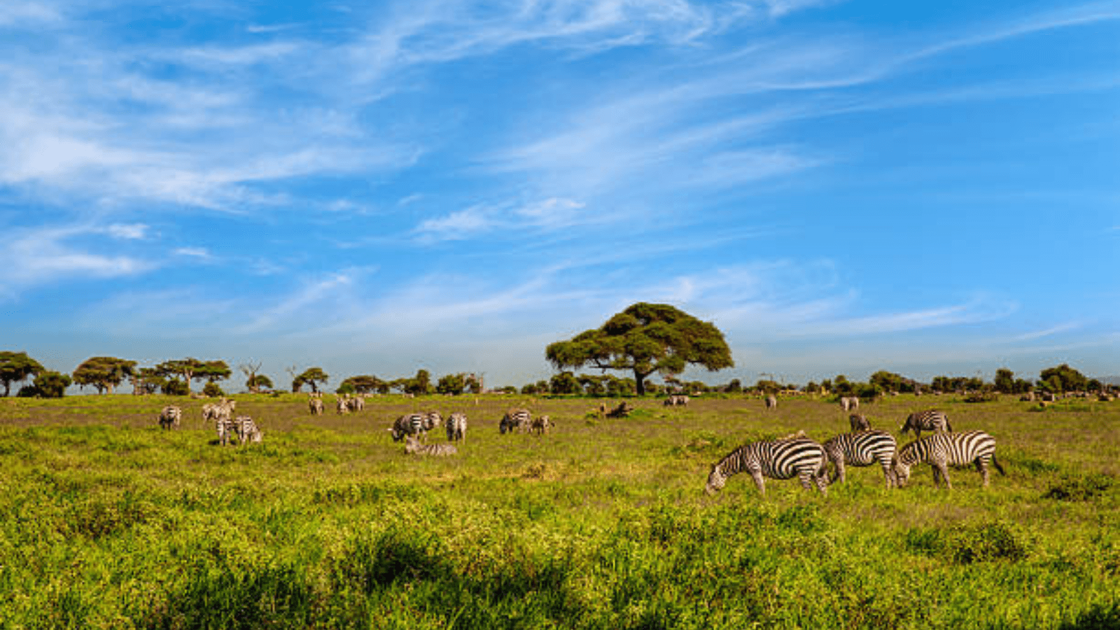 Soul of Kenya – 5 Days of Safari & Culture