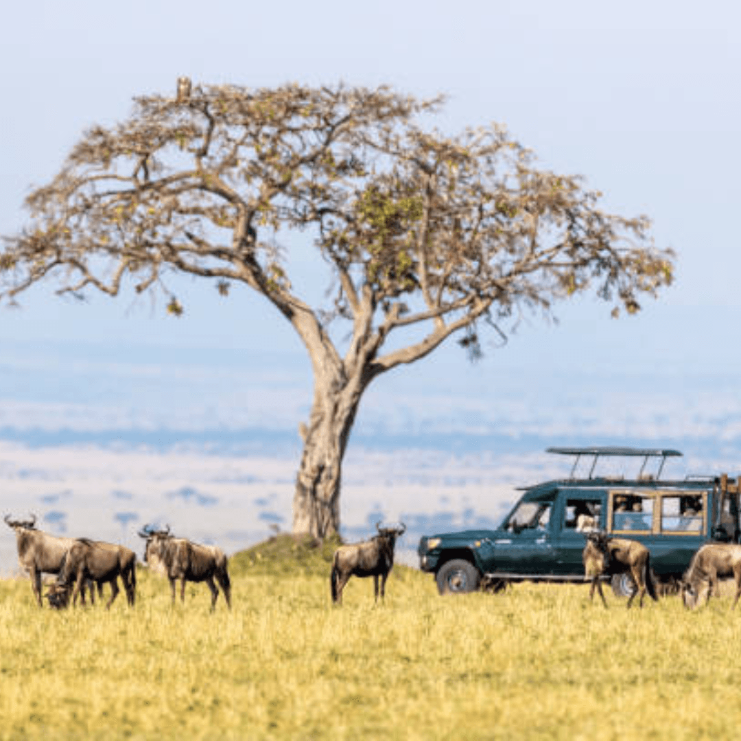 Destination image image4