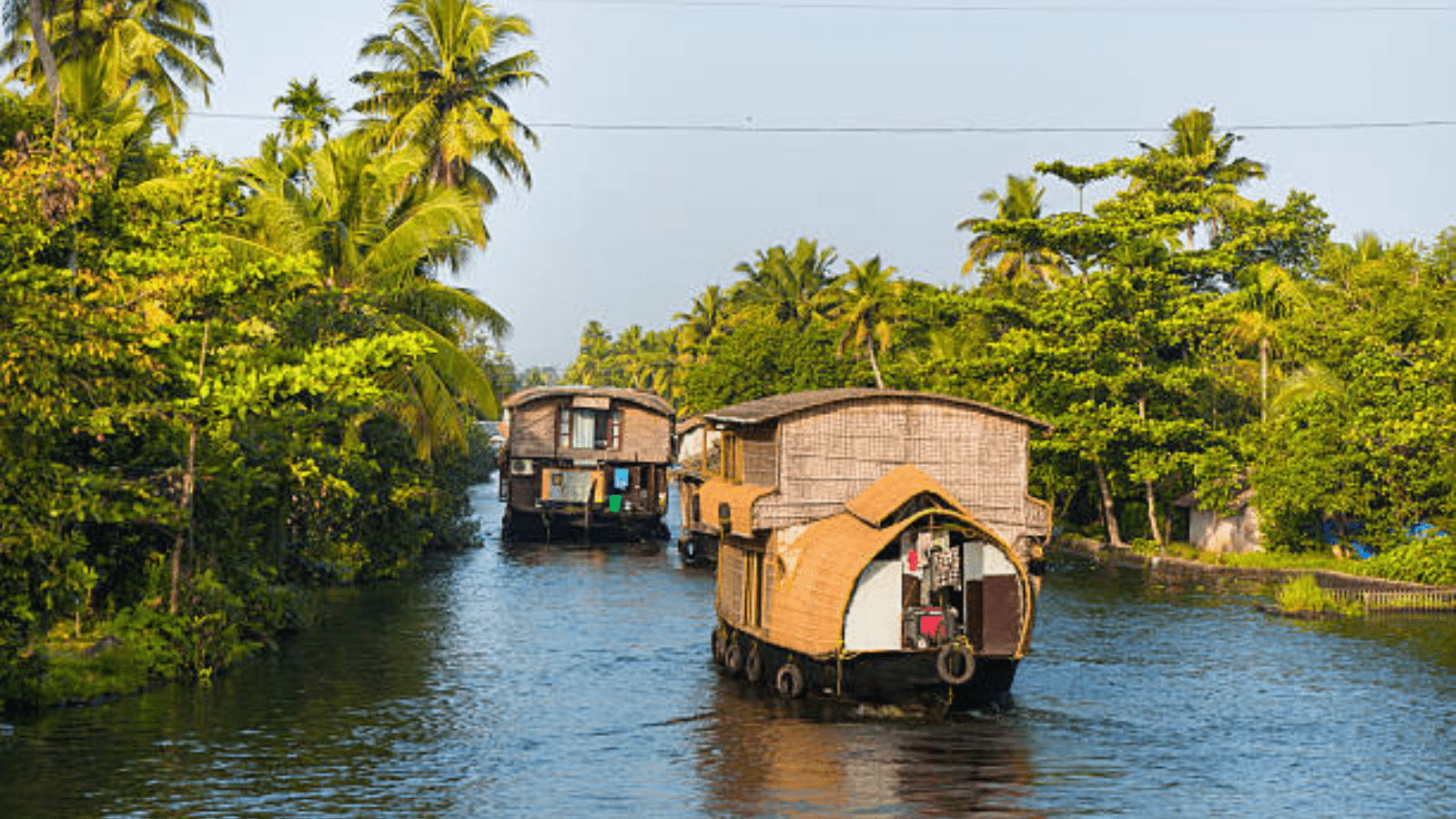 Explore the Best of Kerala in 6 Days