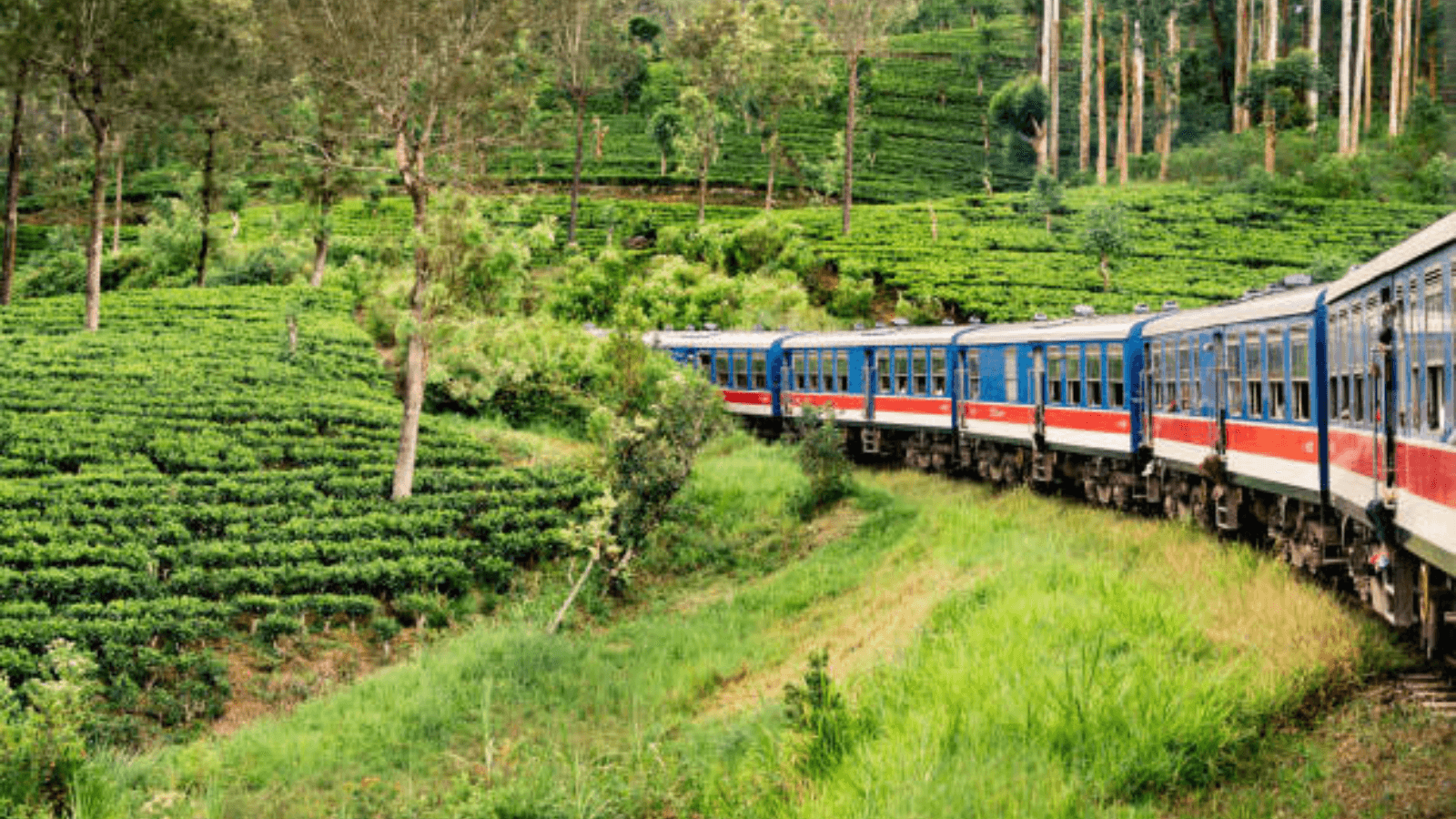 Sri Lanka: Tea Trails and Train Rides — Slowing Down in the Hill Country