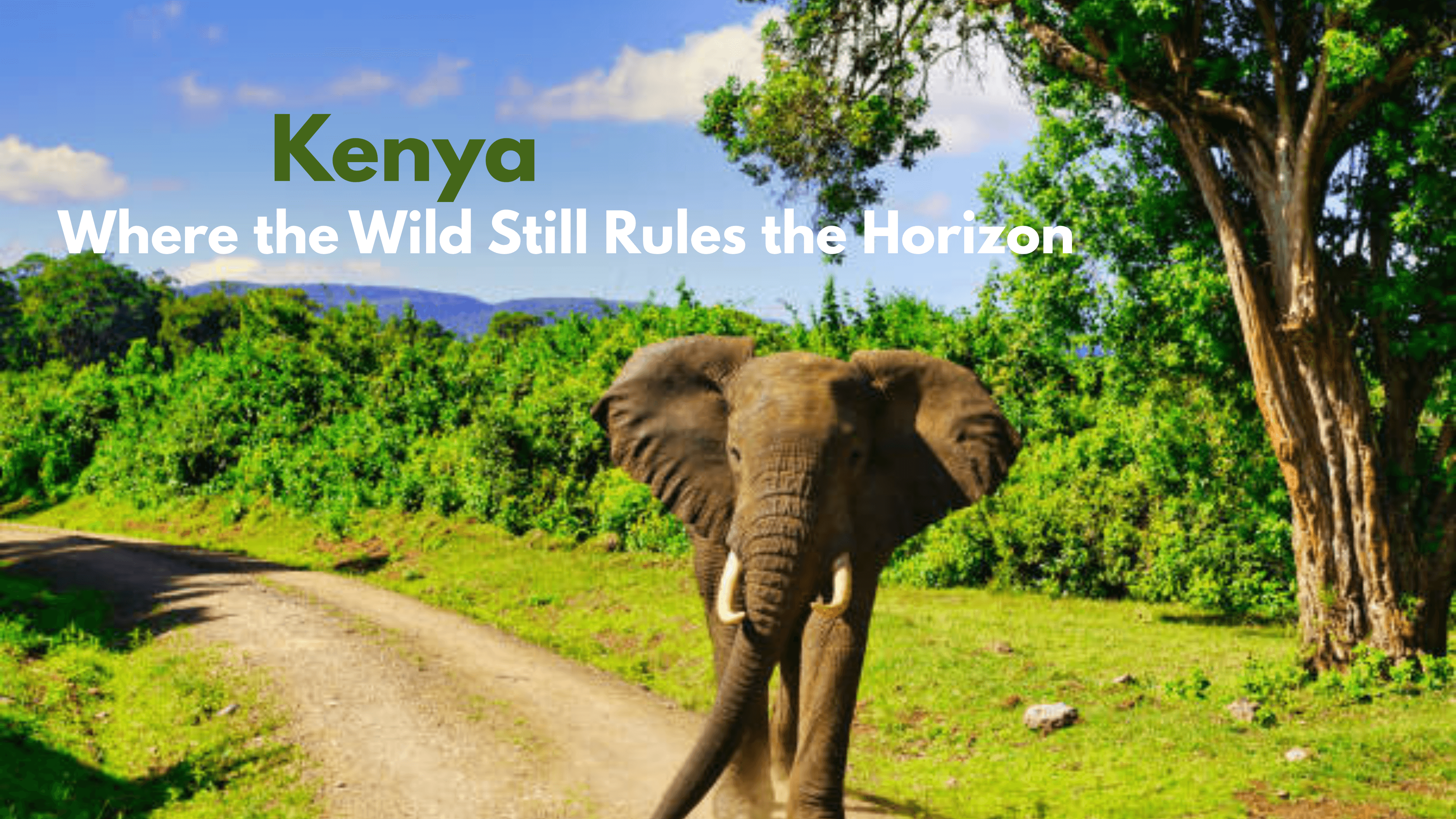 Why Kenya Should Be Your Next International Adventure in 2026