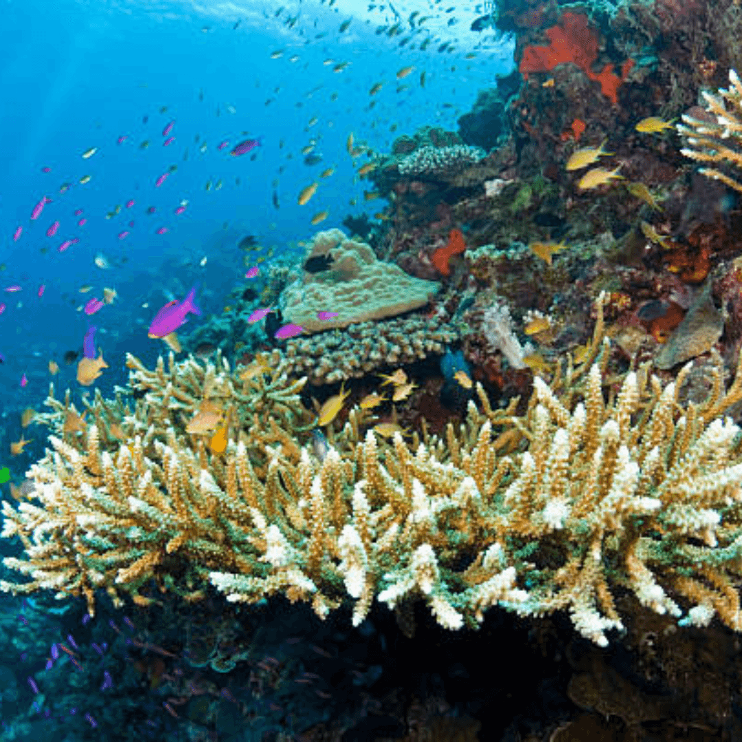 Destination image image3