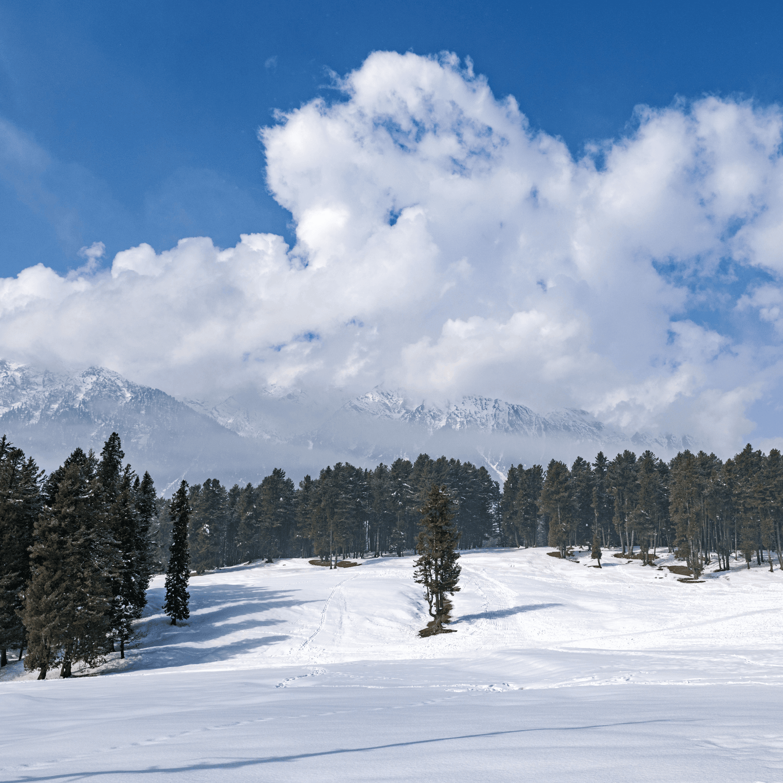 Sonmarg Adventures: Discover the pristine Thajiwas Glacier and the beauty of Zero Point.