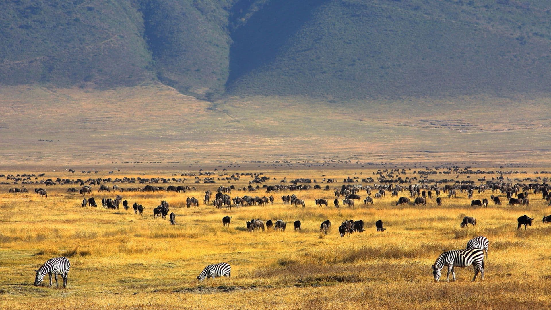 Kenya Safari Adventure - 7 Days of Wildlife & Scenic Beauty