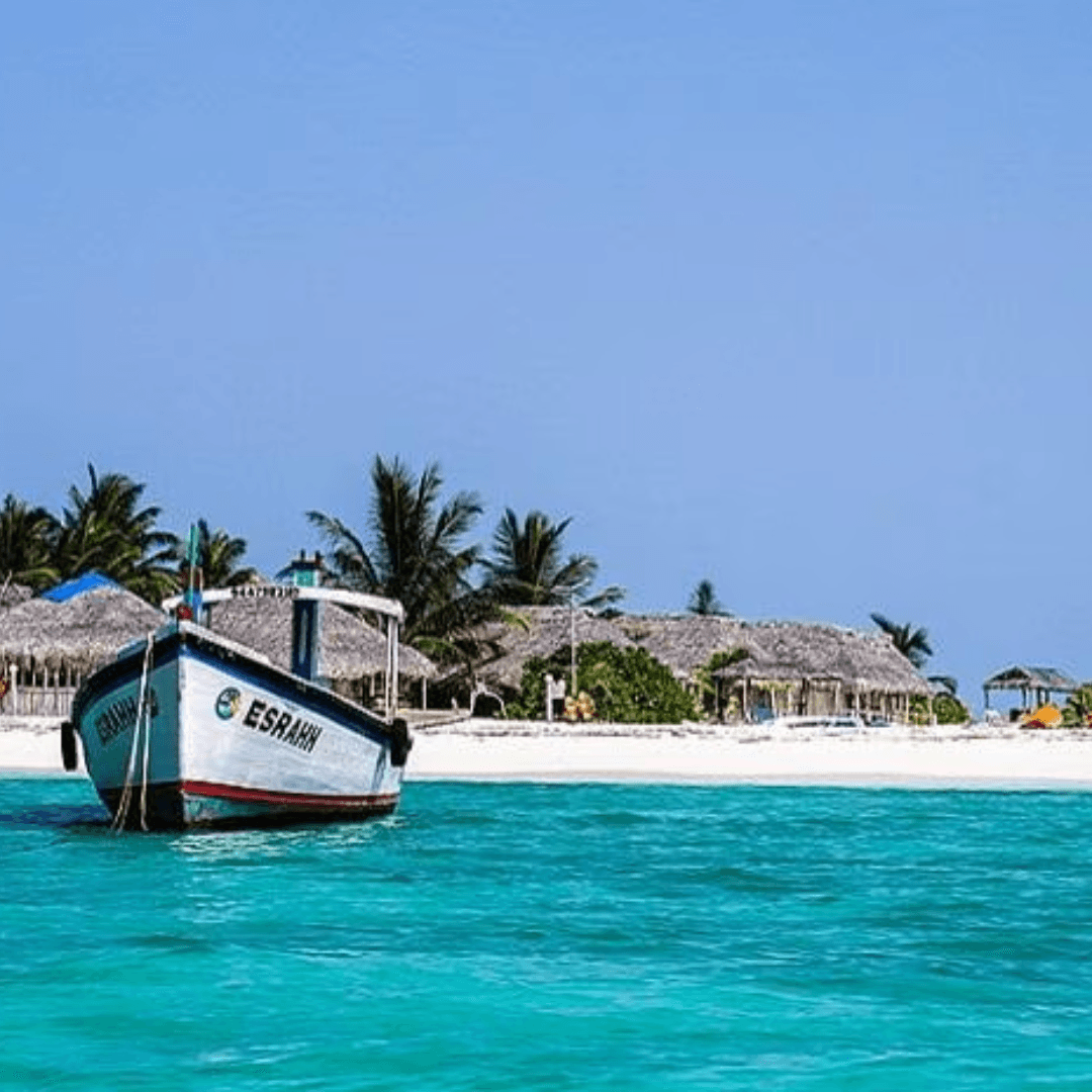 Discover the untouched beauty of Thinnakara Island, where the verdant landscape meets the clear blue waters, providing a perfect setting for both relaxation and exploration.