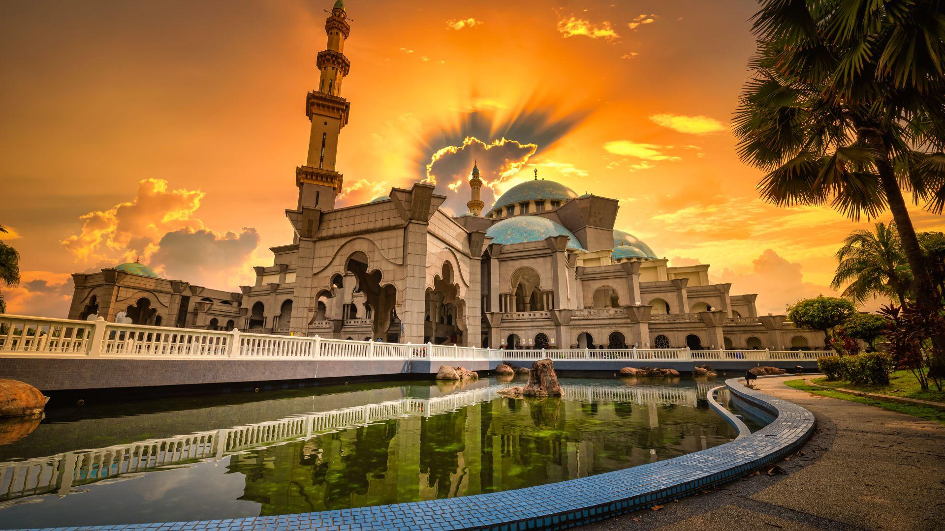 undefined image