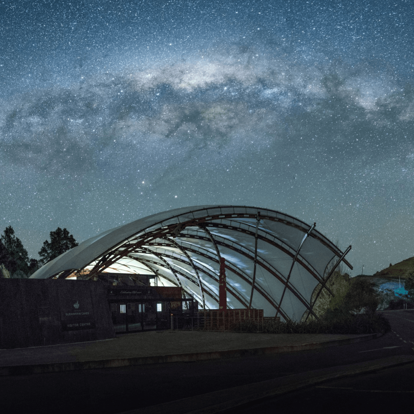 Waitomo Glowworm Caves: Witness a glowing underground spectacle.