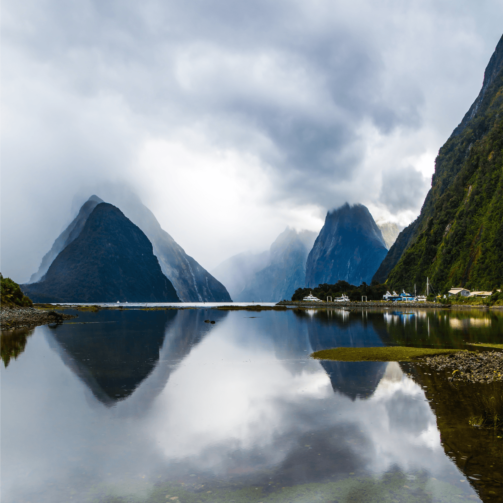 Majestic Milford Sound Cruise Sail through the pristine waters of Milford Sound, surrounded by towering cliffs, lush rainforests, and cascading waterfalls. Witness seals basking on rocks, dolphins swimming alongside the boat, and rare Fiordland penguins in their natural habitat. This is one of the most stunning fjords in the world!
