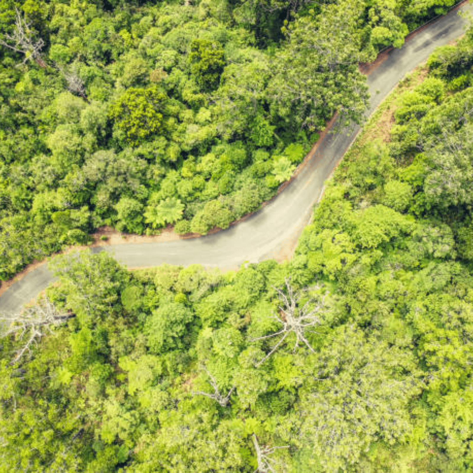 Scenic Landscapes: Explore stunning harbors, forests, and geothermal wonders.