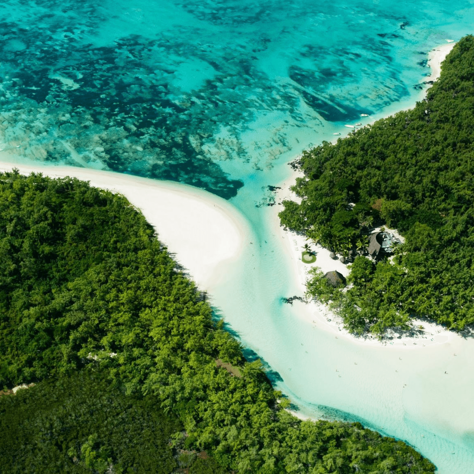 Full-day excursion to the breathtaking Île aux Cerfs.