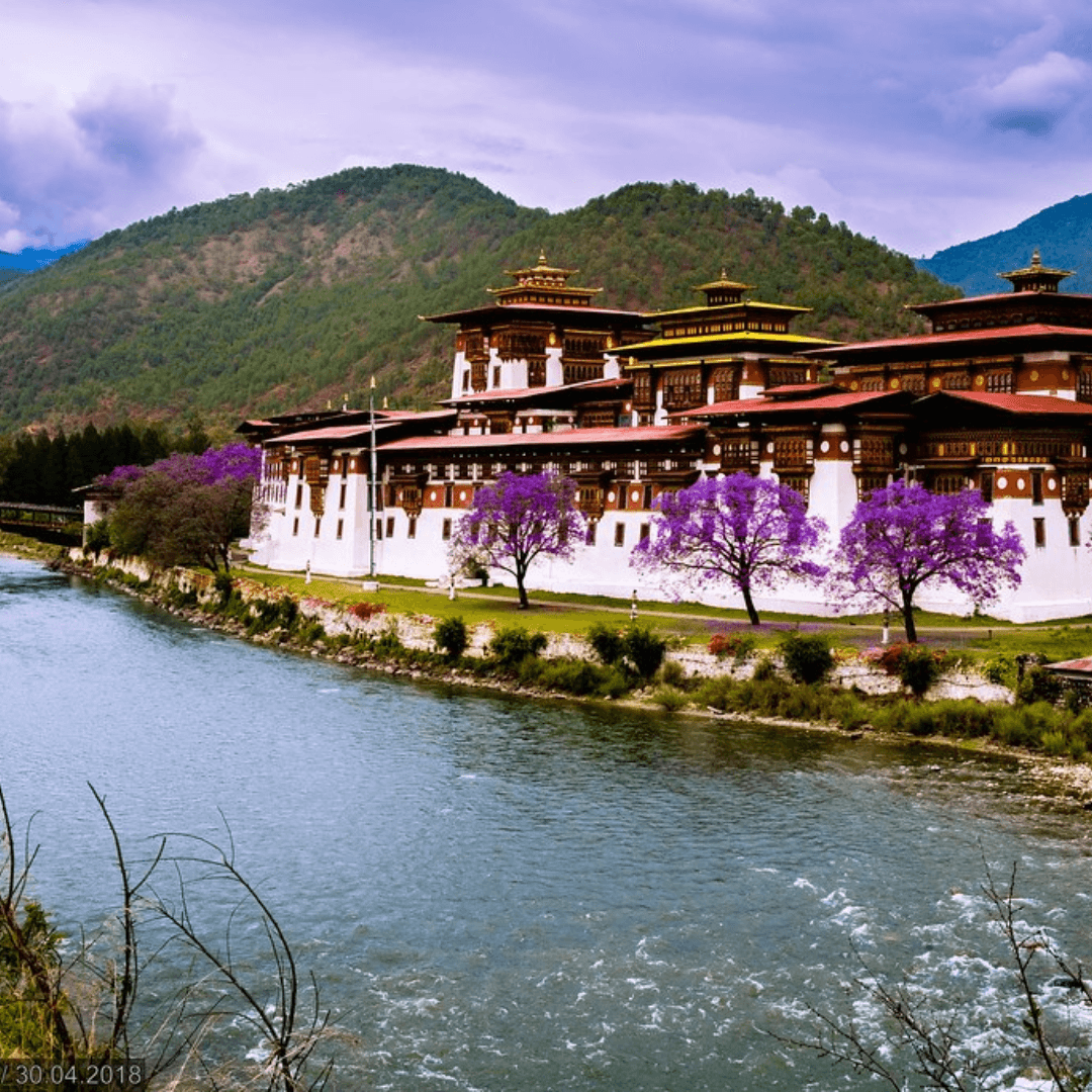 Discover the grandeur of Punakha Dzong, a striking example of Bhutanese architecture that stands at the confluence of two rivers. This historic dzong serves as a testament to the rich cultural tapestry and governance of Bhutan.