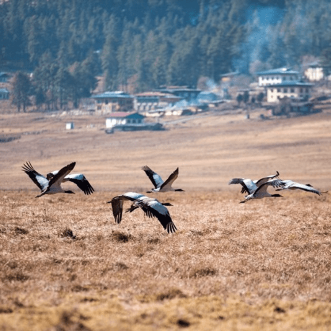 Destination image image3