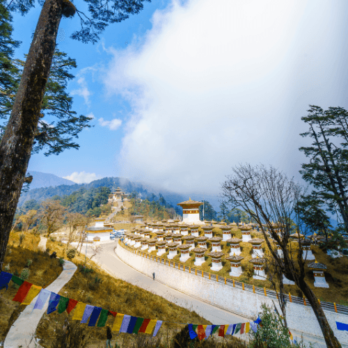 Marvel at the scenic beauty from Dochula Pass, featuring panoramic views of the Himalayan mountain range. The pass is also home to the 108 Druk Wangyal Stupas, adding spiritual significance to its natural splendor.