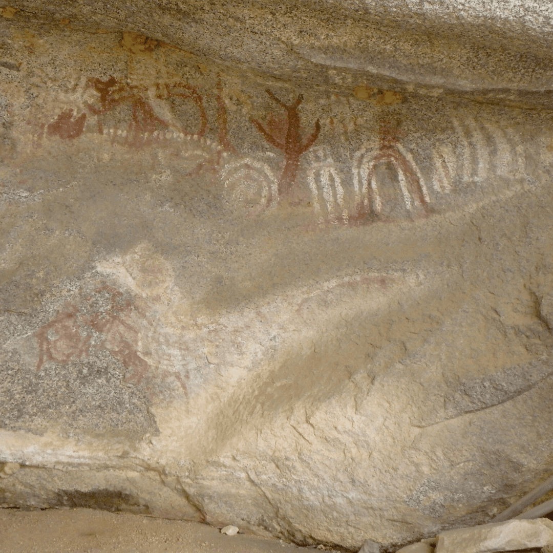 Witness the historical Edakal Caves, showcasing prehistoric petroglyphs that offer a glimpse into ancient human civilizations amidst the stunning natural backdrop of Wayanad.