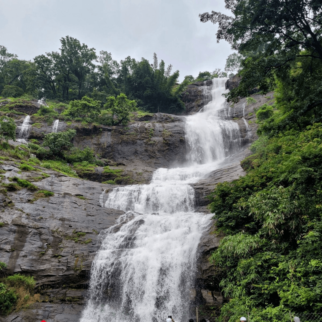 Experience the Valara and Cheeyappara waterfalls on your journey to Munnar, where the breathtaking seasonal waterfalls enhance the lush landscapes of tea plantations.