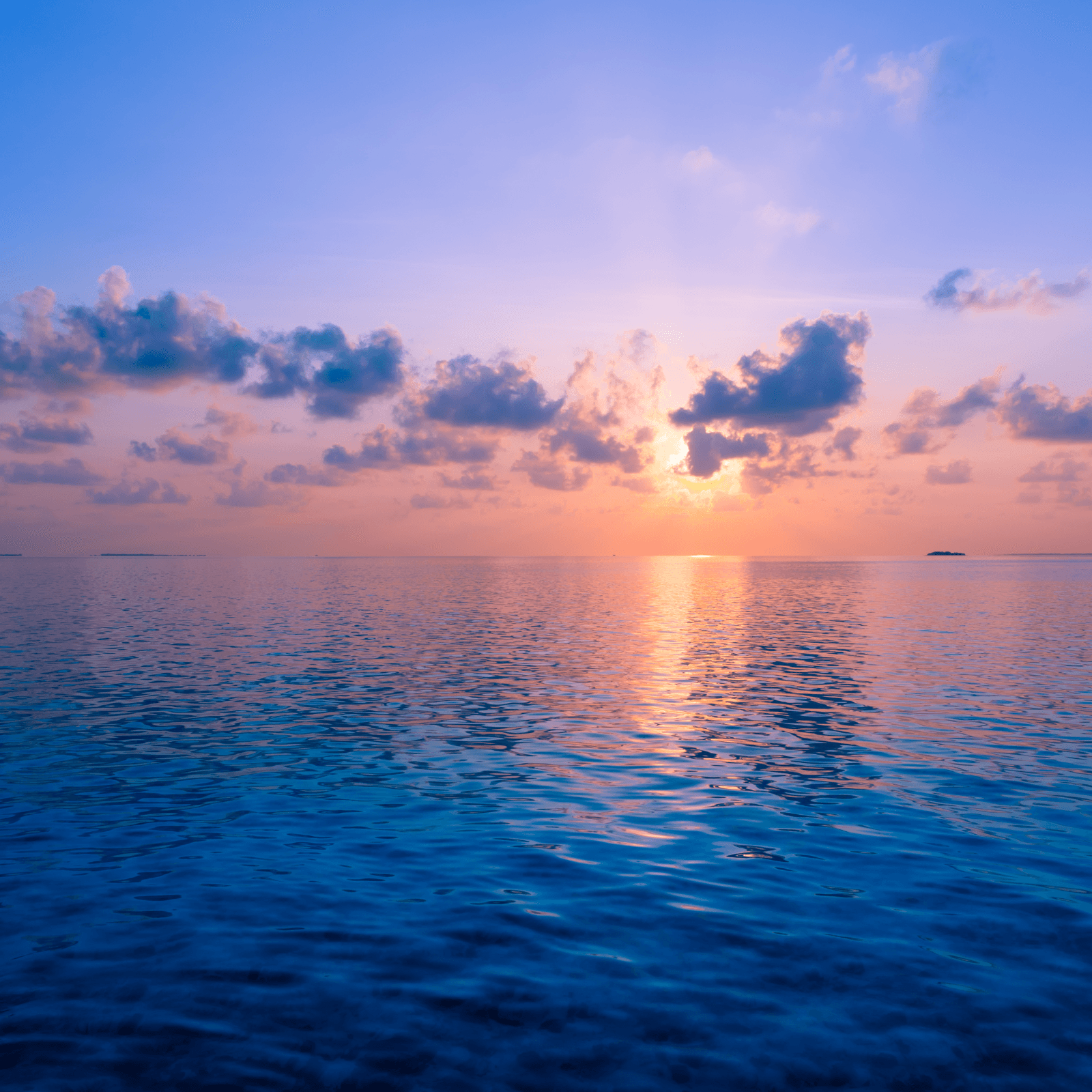 Enjoy a romantic sunset cruise with dolphin sightings.