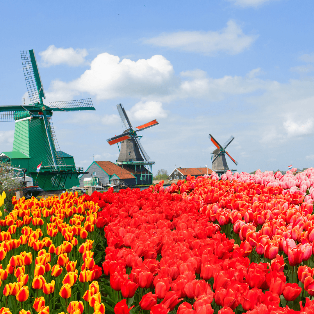 Destination image image5