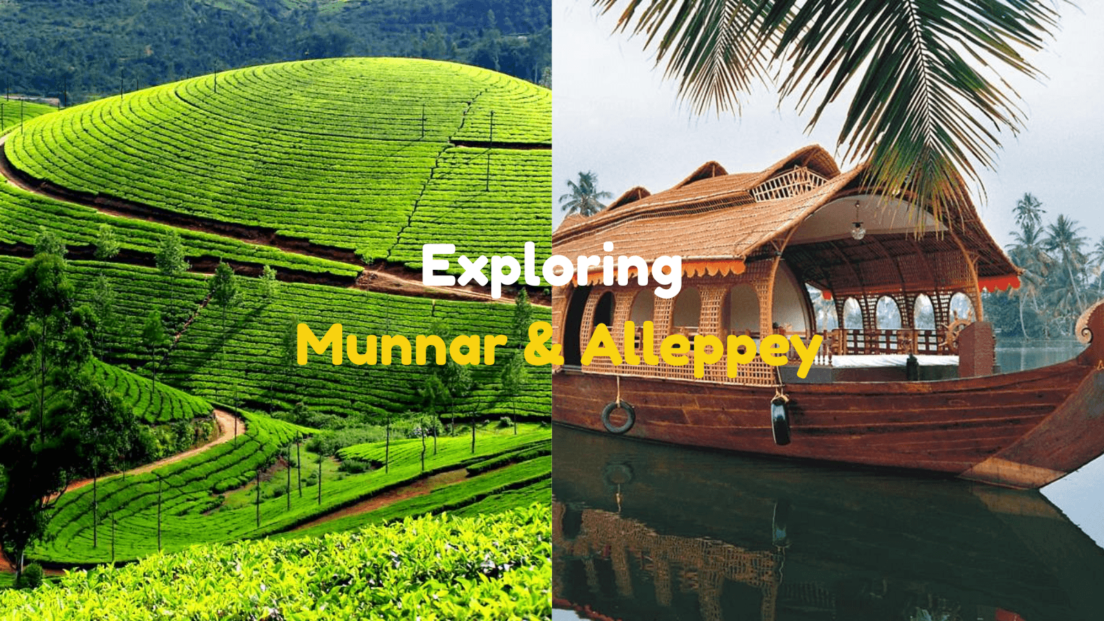 Exploring Munnar & Alleppey: Tea Plantations, Waterfalls, & Backwater Houseboats