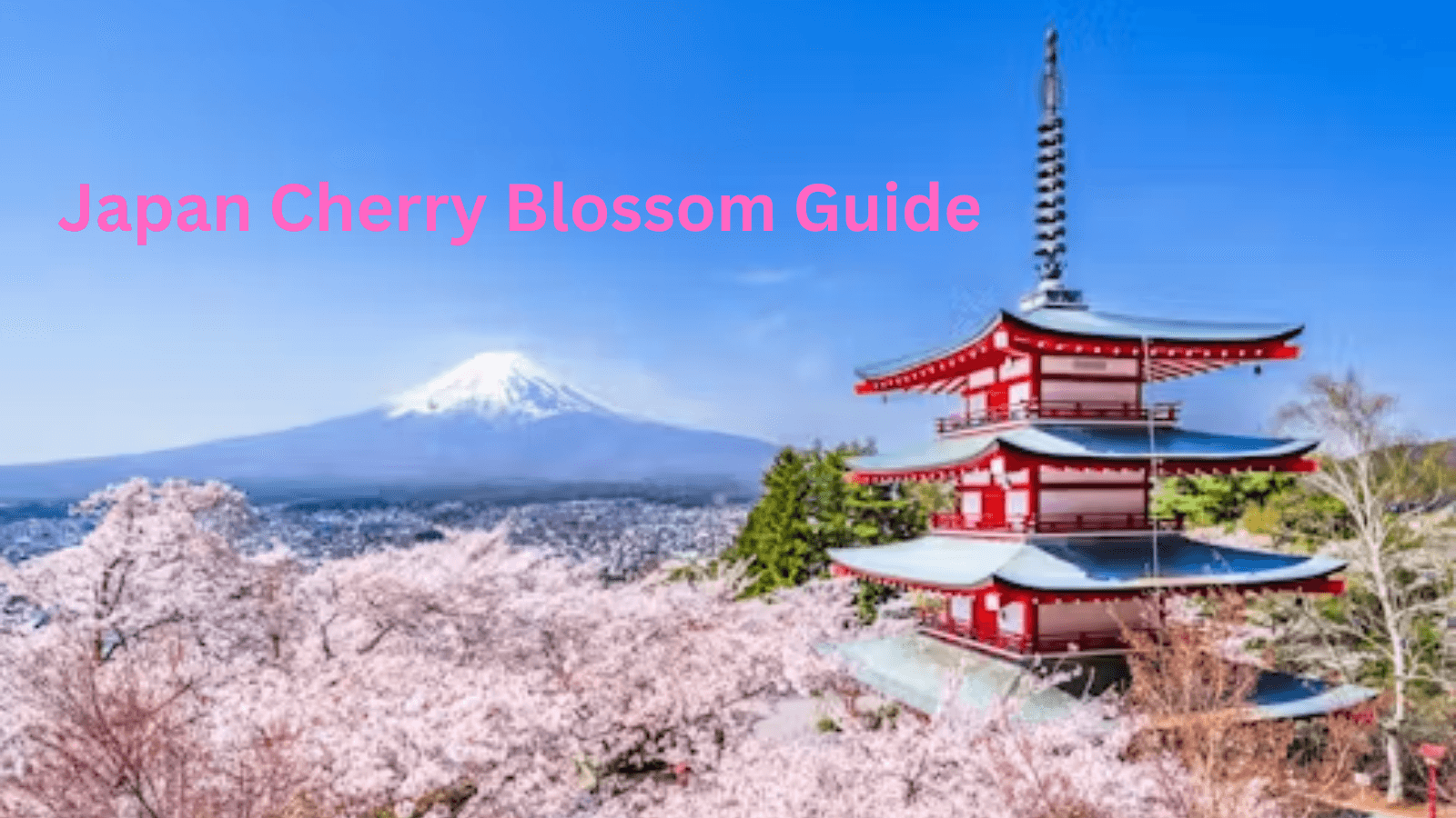 Japan Cherry Blossom Guide: Tokyo Skylines, Mount Fuji, & Kyoto Temples