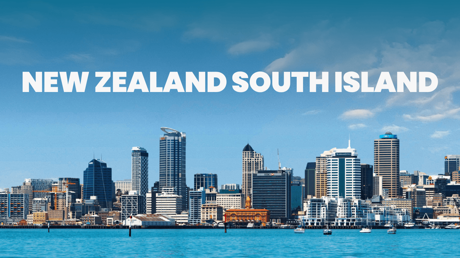 New Zealand South Island: A Paradise for Nature Lovers