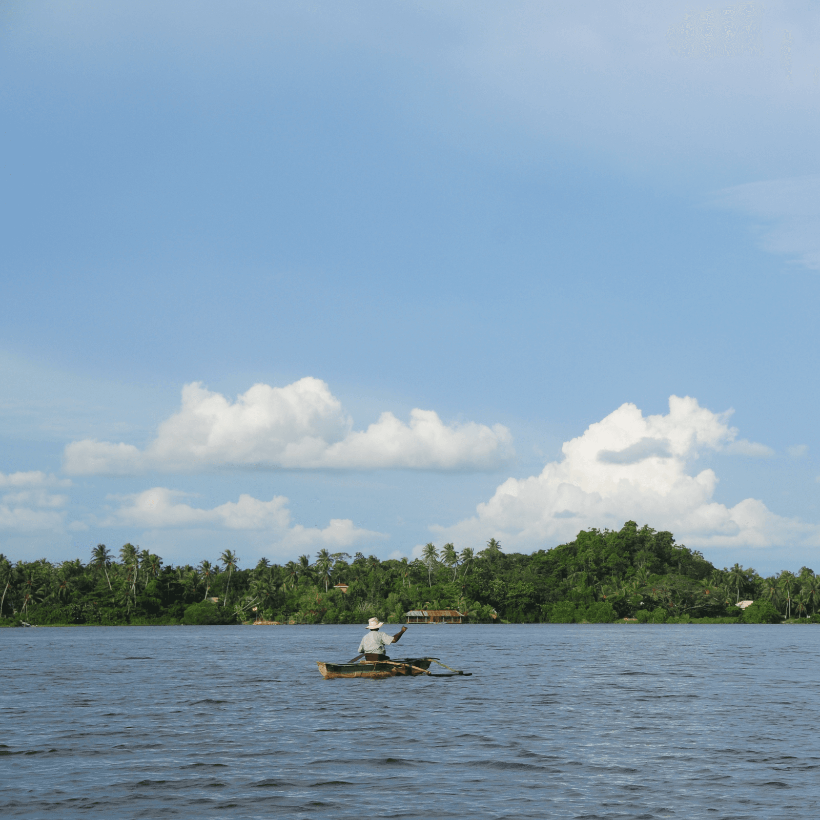 Madhu River Boat Safari: Sail through lush mangrove forests and immerse yourself in the serene atmosphere of the Madhu River.