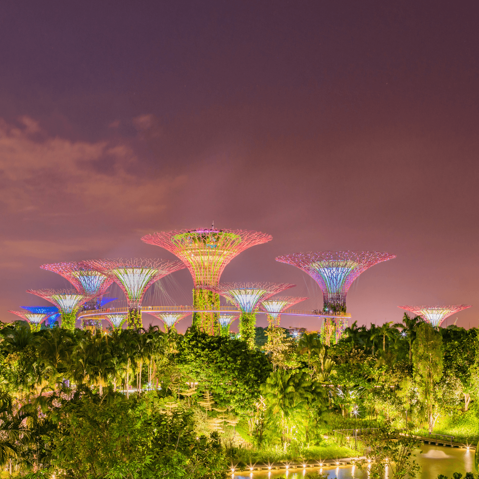 Gardens by the Bay: Discover breathtaking landscapes in the Flower Dome and Cloud Forest, capped by the futuristic Supertree Grove.