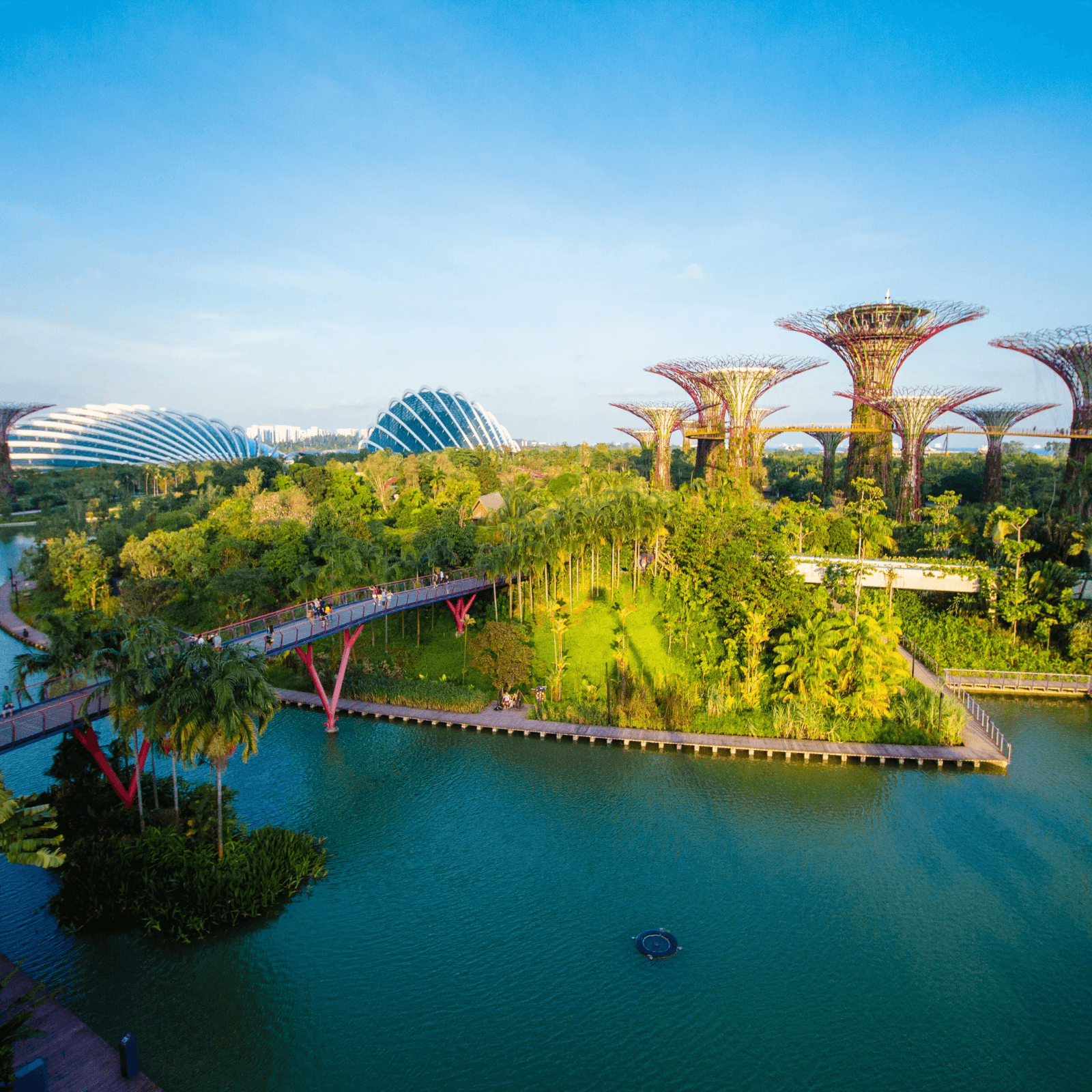Gardens by the Bay, Singapore Explore one of the top 10 indoor gardens globally, featuring horticultural, sustainability, and architectural wonders.